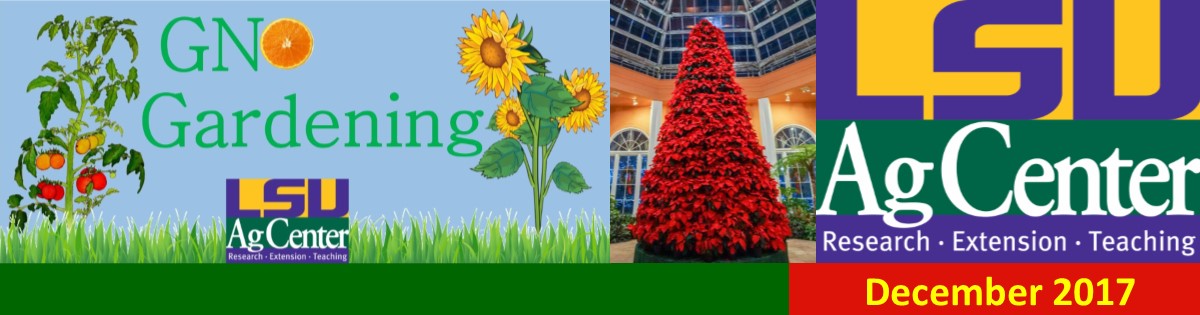 GNO Gardening December 2017 Newsletter